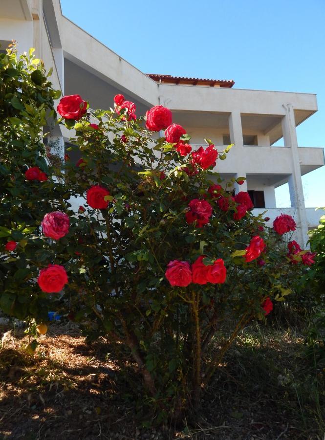 Οδυσσεια, Κοντά Σε Αεροδρόμιο, Λιμάνια Και Θάλασσες Apartment Keratea Exterior photo